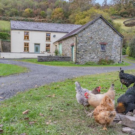 Pwll Farmhouse Llanllawdog 外观 照片
