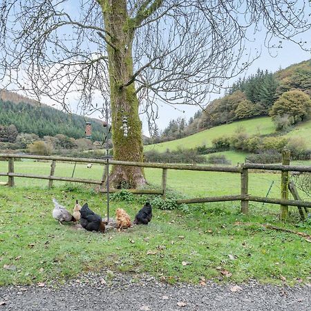 Pwll Farmhouse Llanllawdog 外观 照片