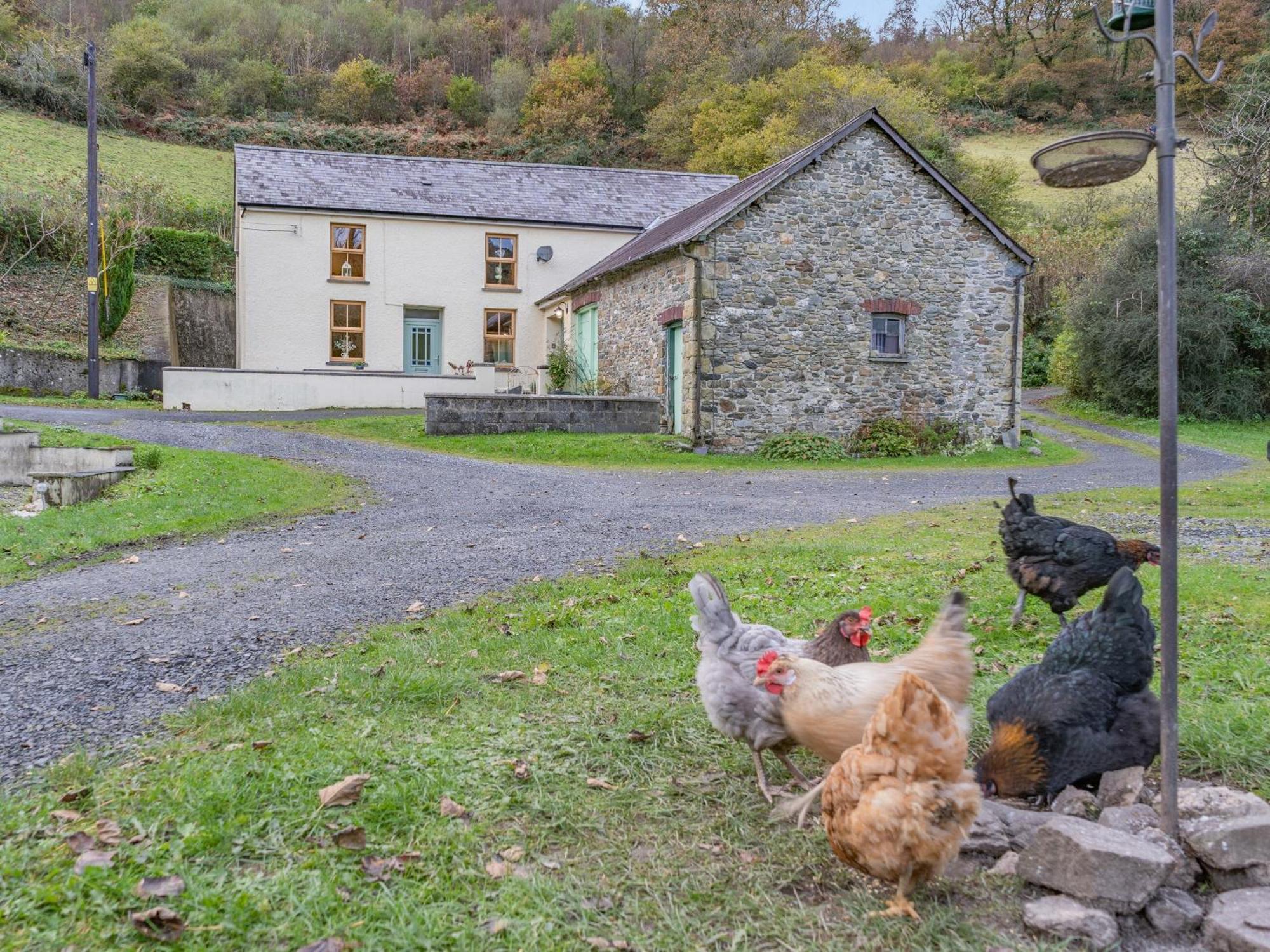 Pwll Farmhouse Llanllawdog 外观 照片