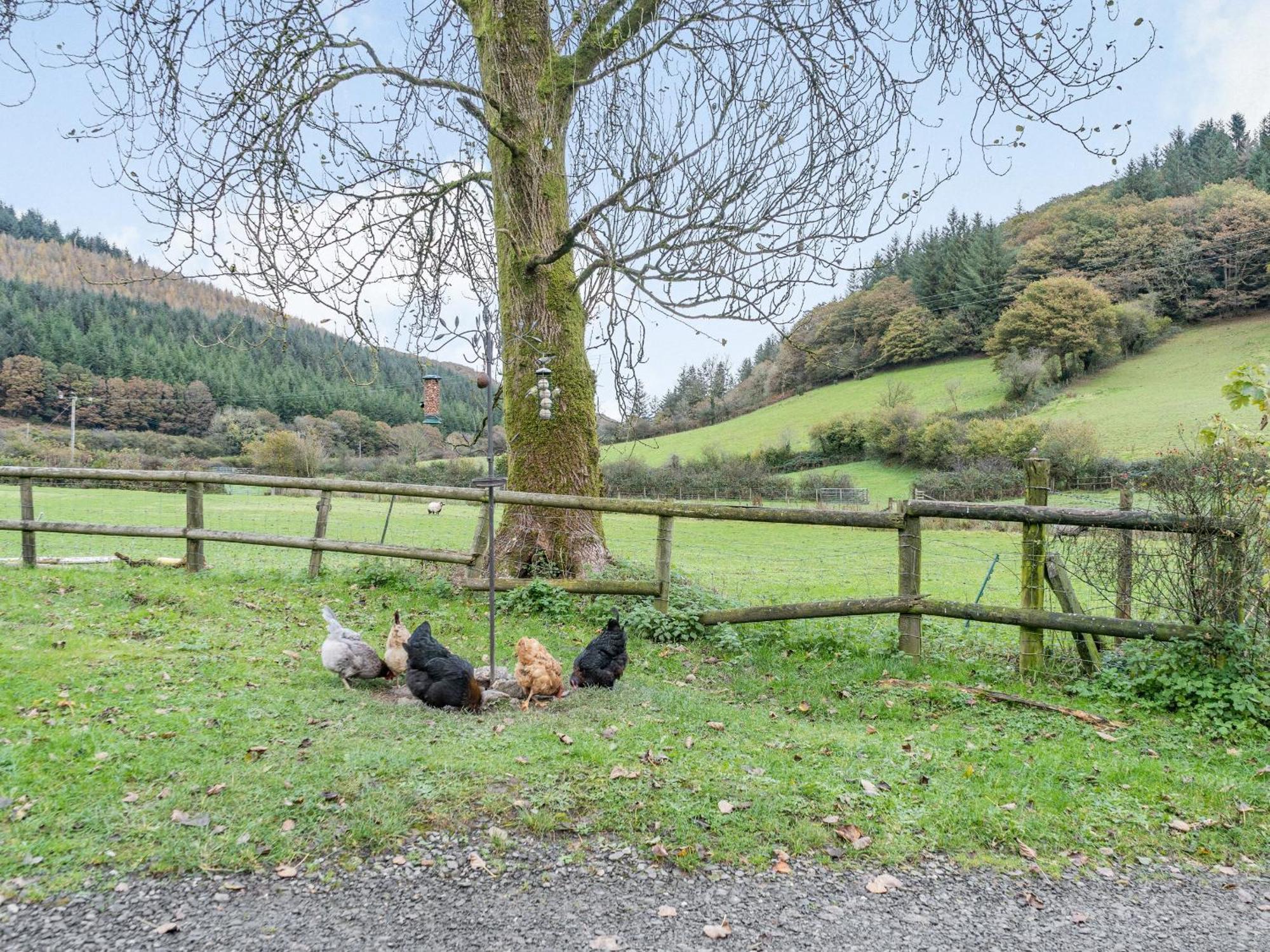 Pwll Farmhouse Llanllawdog 外观 照片