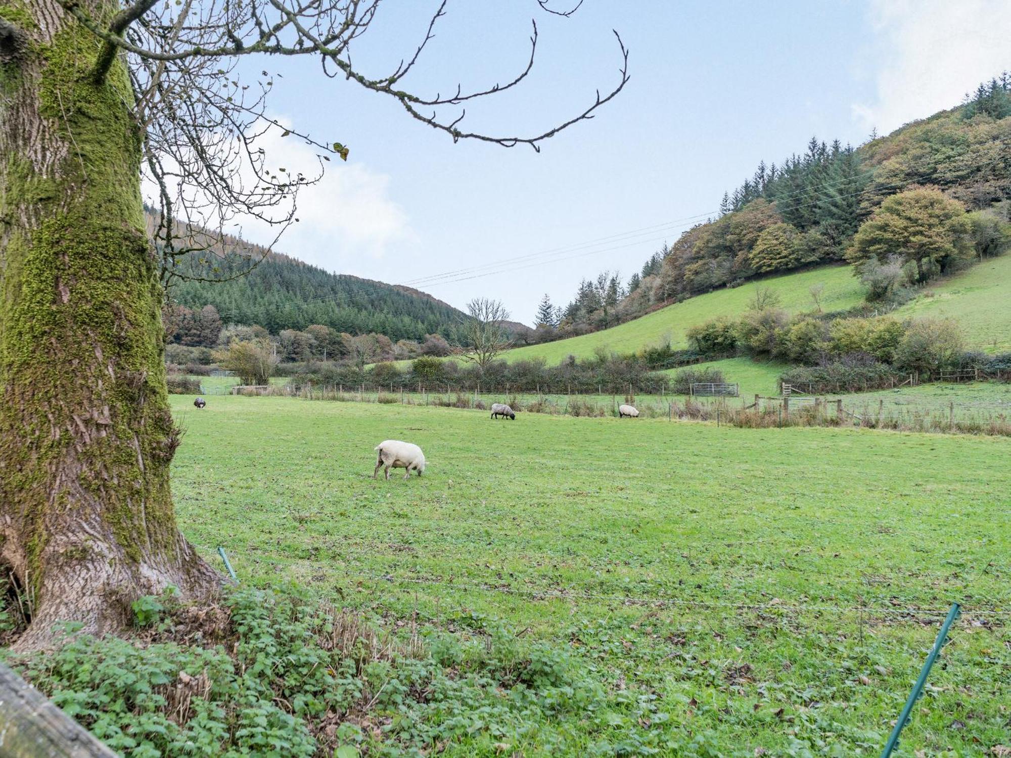 Pwll Farmhouse Llanllawdog 外观 照片